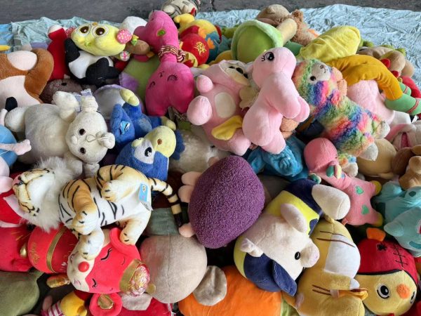 Soft Toys
